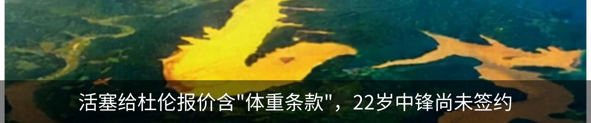 资讯动态