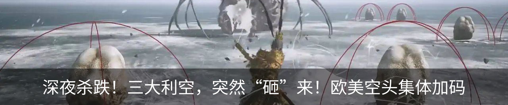 资讯动态