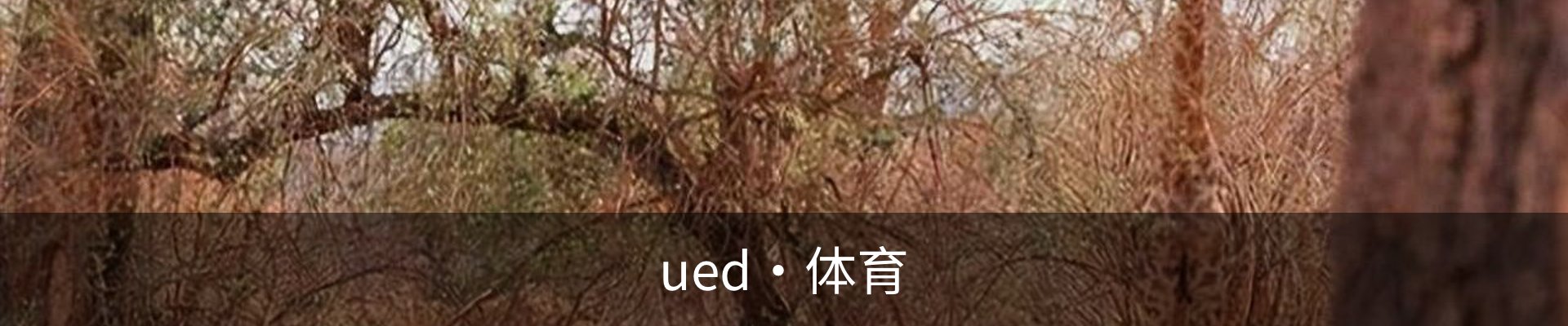 ued·体育